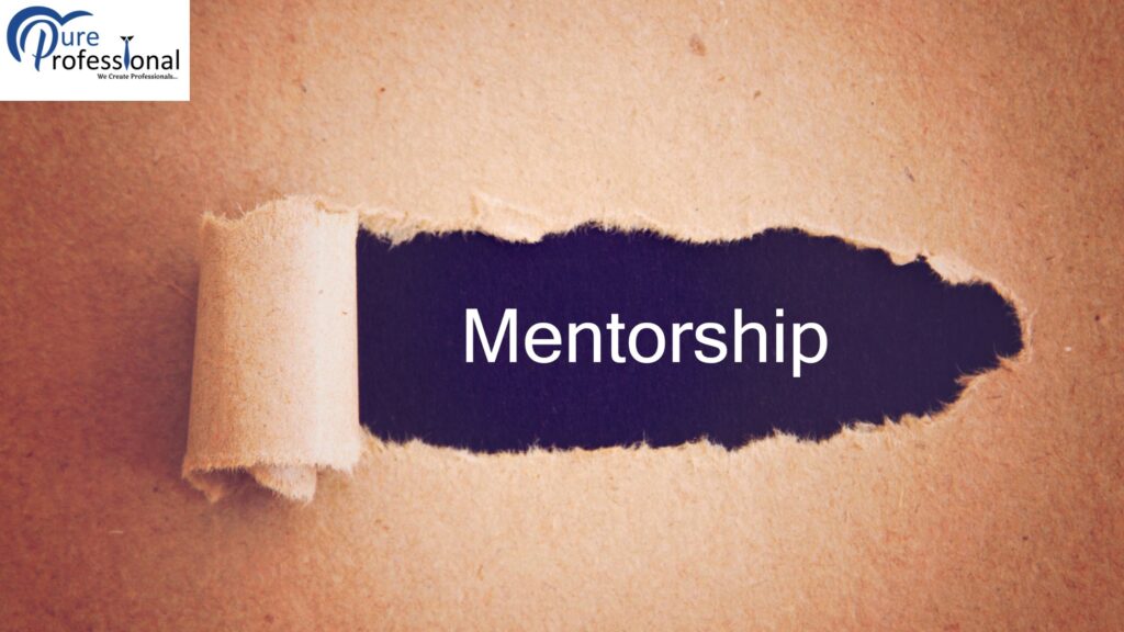 Mentorship