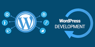 wordpress developer